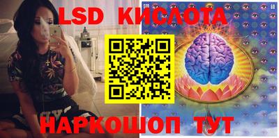 крисы Аргун