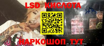 крисы Аргун