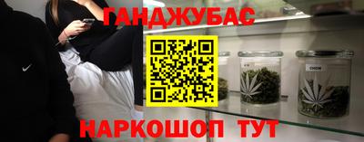 крисы Аргун