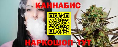 крисы Аргун