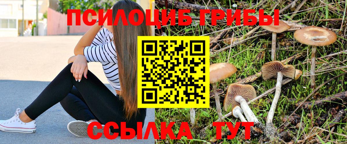 Галлюциногенные грибы GOLDEN TEACHER Верхняя Салда